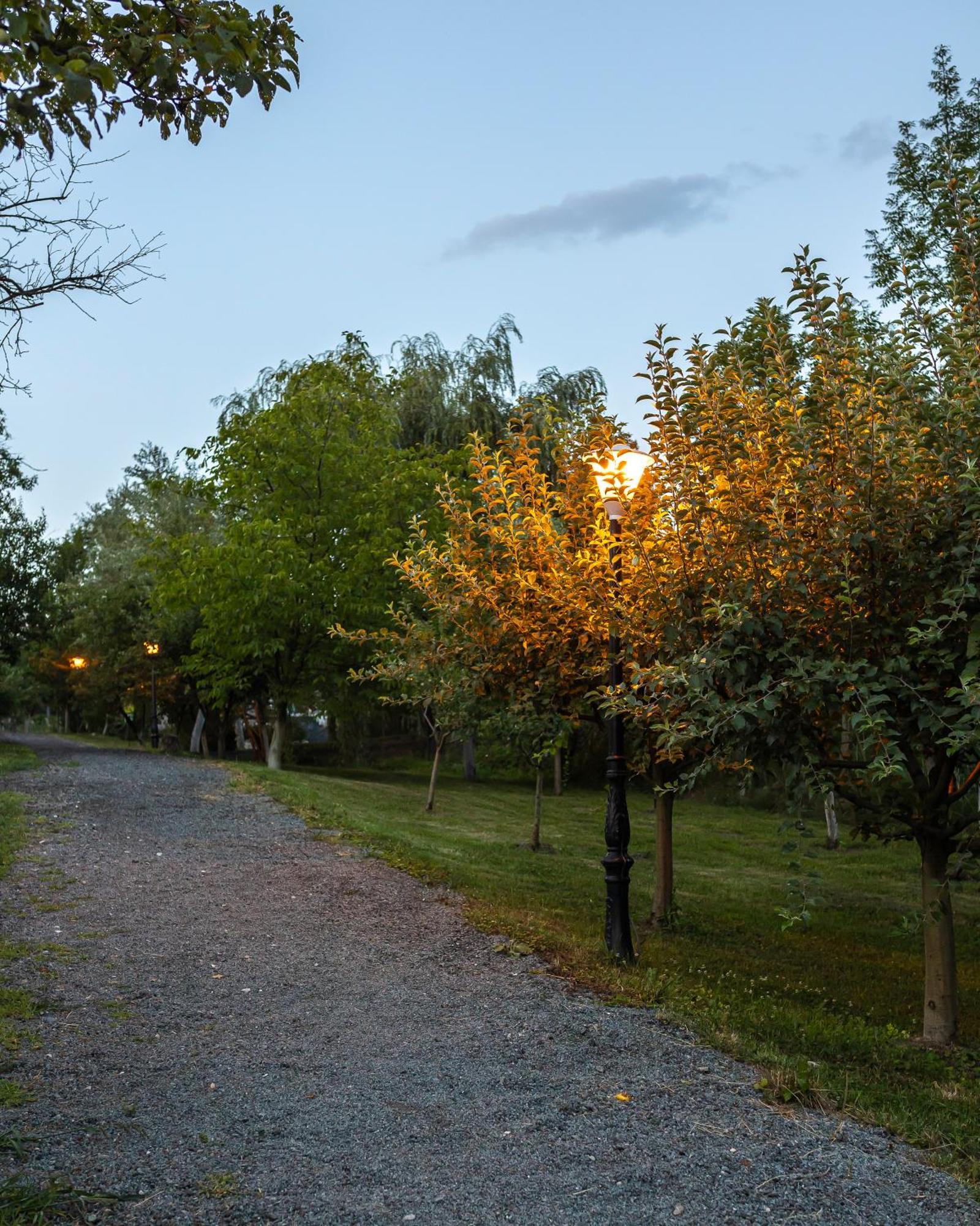 Agropensiunea Colev Stremt Buitenkant foto