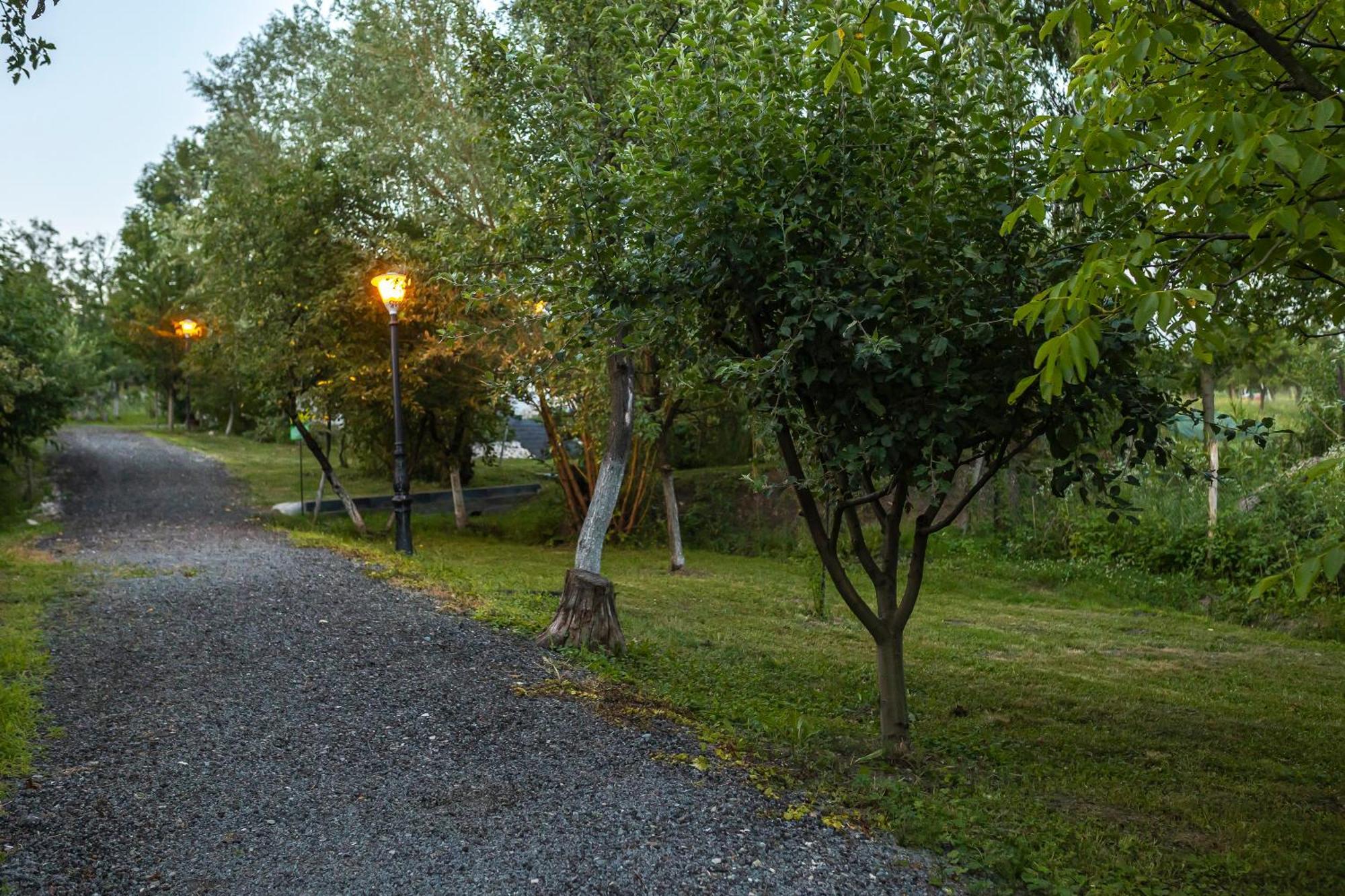 Agropensiunea Colev Stremt Buitenkant foto