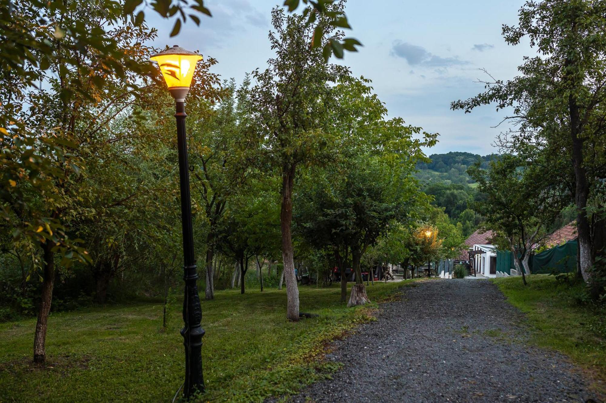 Agropensiunea Colev Stremt Buitenkant foto